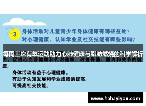 每周三次有氧运动助力心肺健康与脂肪燃烧的科学解析