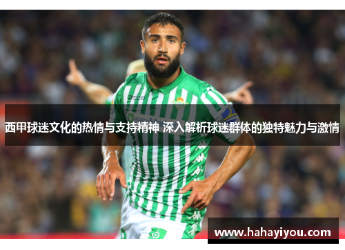 西甲球迷文化的热情与支持精神 深入解析球迷群体的独特魅力与激情