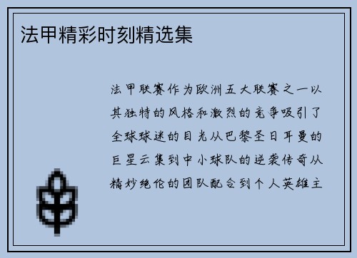 法甲精彩时刻精选集